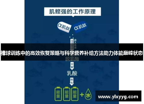 棒球训练中的高效恢复策略与科学营养补给方法助力体能巅峰状态